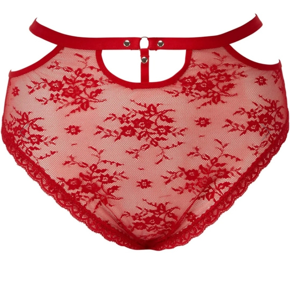 BNWT Killstar Sheer Evil high waisted panty plus size